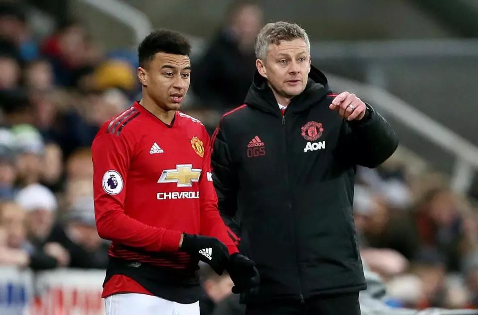 他们联手砍 他们联手砍